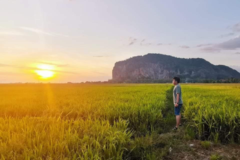 Penang:Excursão de 1 dia a Kedah com guia local e motorista