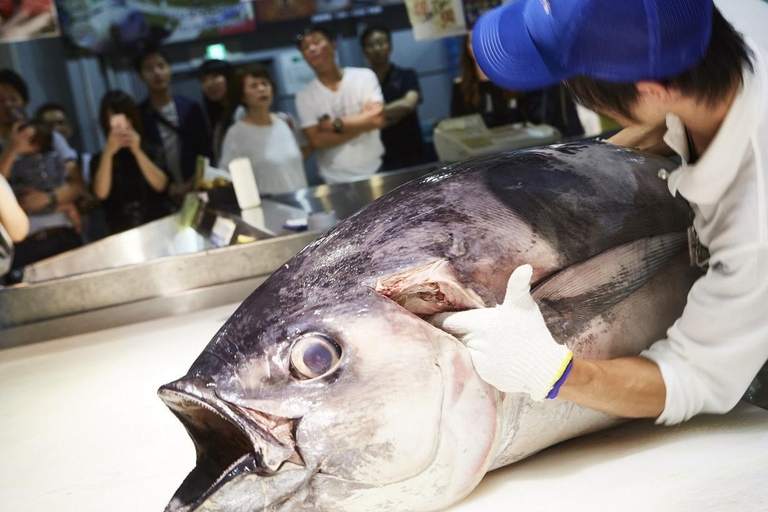 Osaka: Wakayama Cat Train, Seafood market, Hot Springs Tour