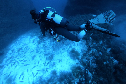 Malta: 2 Scuba Fun-dyk för certifierade dykare