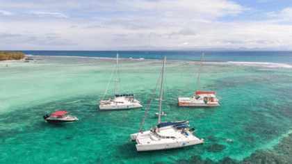 3 Islands Catamaran Cruise w/ Lunch & Snorkeling Sea Turtles - Housity