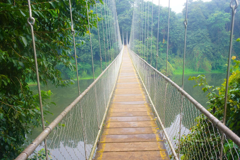 L&#039;île aux singes + Excursion à la chauve-souris