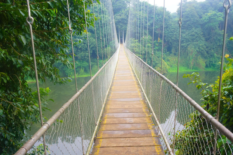 L&#039;île aux singes + Excursion à la chauve-souris