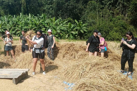 Chiang Mai: jungletocht, olifanten en verblijf in een bergstamdorpChiang Mai: tweedaagse jungletocht met verblijf in de bergstam