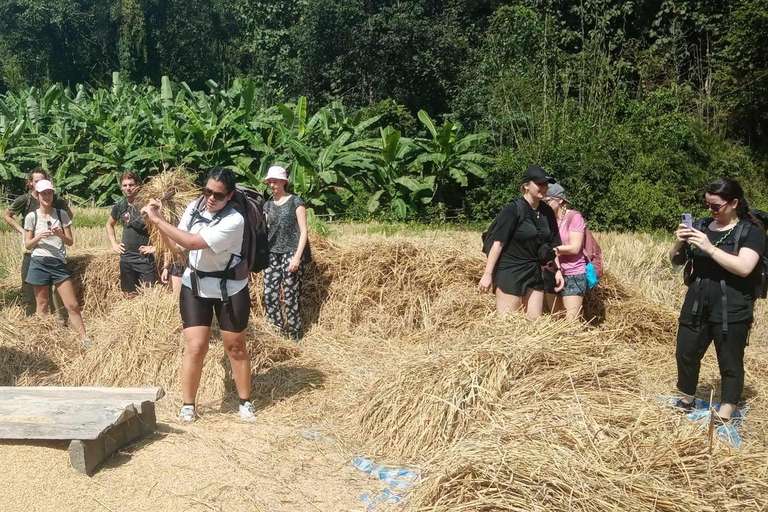 Chiang Mai: 2-dagars djungelvandring med elefantfarm och forsränning