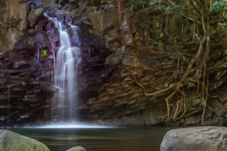Kahului: begeleide wandeling door regenwoud en waterval