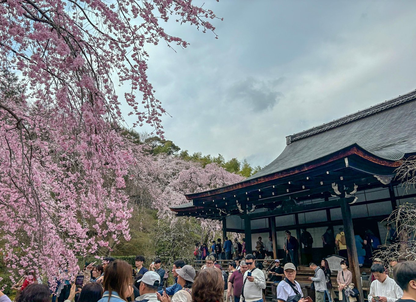 Kyoto: Heldagstur med de bedste UNESCO- og historiske steder