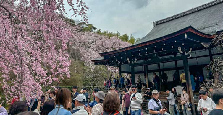 Kyoto: Fushimi Inari, Kinkakuji, Bamboo Grove 1 Day Bus Tour photo 4