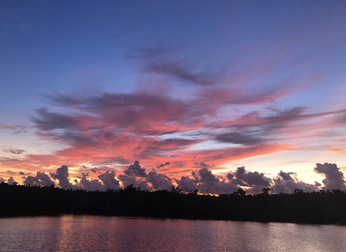 Panama City: Delfincruise ved solnedgang i St. Andrews Bay