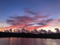 Panama City, Sunset Dolphin Cruise in St. Andrews Bay - Housity