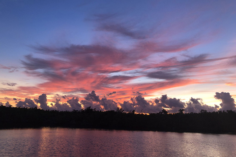 Panama-stad: dolfijncruise bij zonsondergang in St. Andrews Bay