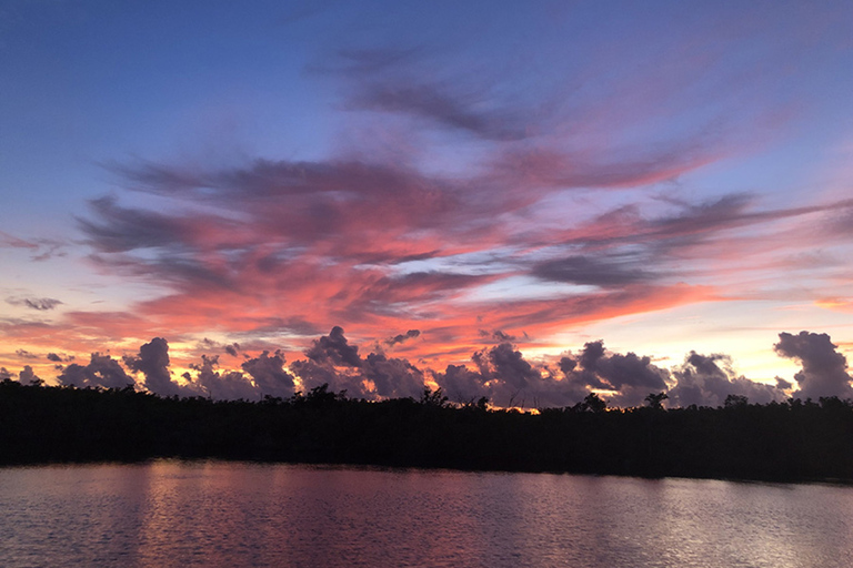 Panama-stad: dolfijncruise bij zonsondergang in St. Andrews Bay