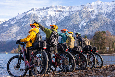 From Zurich: E-Bike Adventure in Interlaken Tour in English