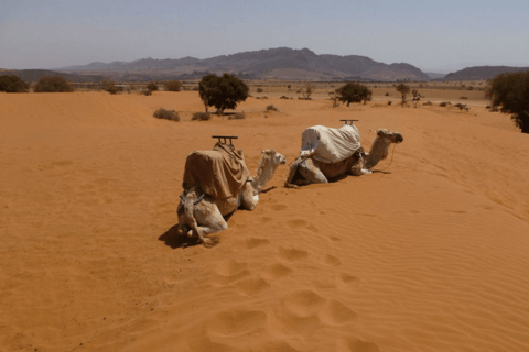 Agadir: Souss Massa 4WD Desert Safari with Lunch