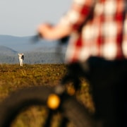 Saariselkä: E-Fat Bike Day at Muotka