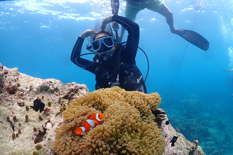 Découvrez la plongée sous-marine à Boracay