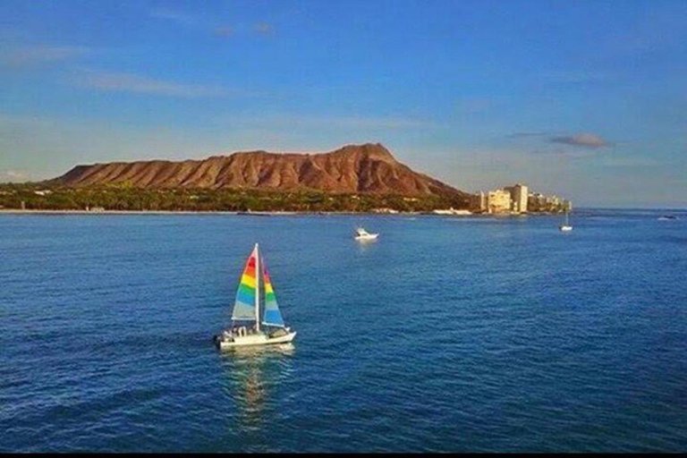 Waikiki Excursión de snorkel con tortugas marinas