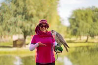 Dubai, Sunset Camel Safari, Stargazing, BBQ ad Al Khayma - Housity