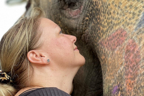 Jaipur: Hathigao Elephant Village Ride, Feeding, & Photos Riding, Feeding, Climbing And Photography with Elephant