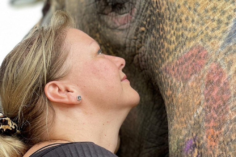 Jaipur: Hathigao Elephant Village Ride, Feeding, & Photos Riding, Feeding, Climbing And Photography with Elephant