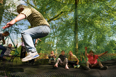 Windermere: Treetop bouncy nets (Treetop Nets)