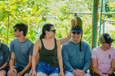 Horseback Ride & Monkey Island Tour with Pickup Puerto Plata
