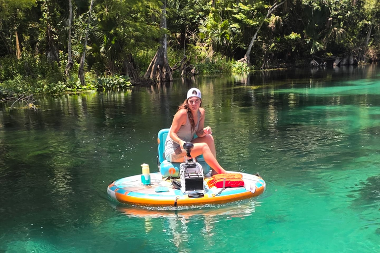 Silver Springs: Silver River GoBoat Rental GoBoat Single Two Hour Rental
