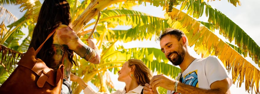 La plantation de café La Herradura : visite de la seule plantation d'Europe