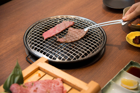 Himeji Castle Guided Tour and Kobe Beef Lunch from Kyoto Return Shinkansen (bullet train) ticket to Shin-Osaka