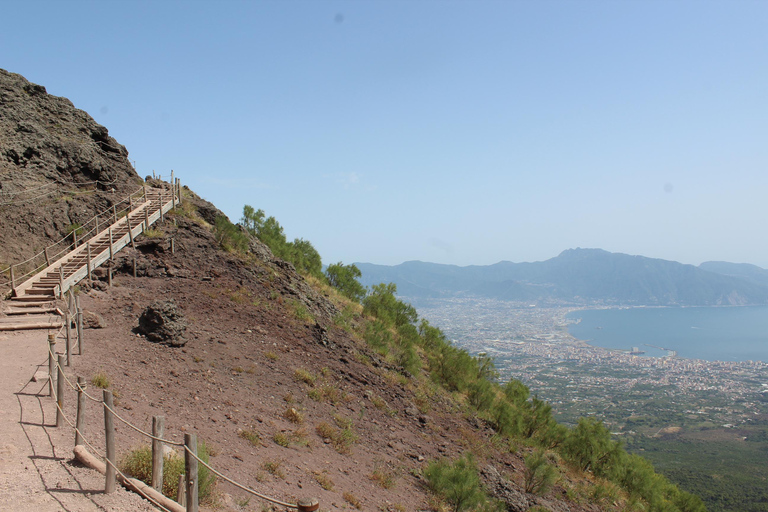 Z Neapolu: Pompeje i Wezuwiusz z lekcją robienia pizzy