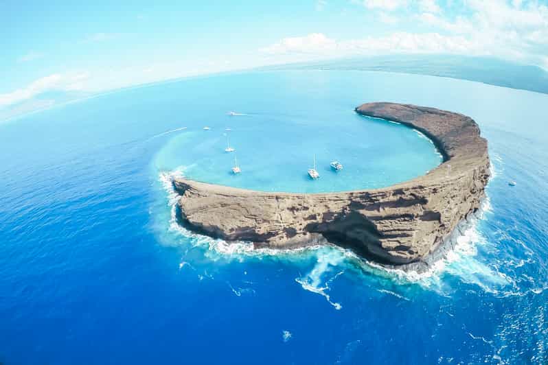 From Ma'alaea Harbor Molokini Snorkeling Adventure GetYourGuide
