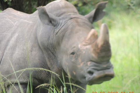 Safari de 3 jours aux chutes Murchison et aux Big 5