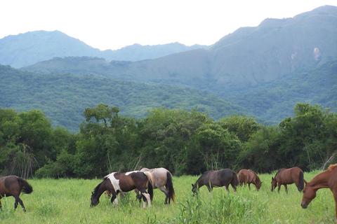 Salta: Full-Day Horseback Ride with Mountain Picnic