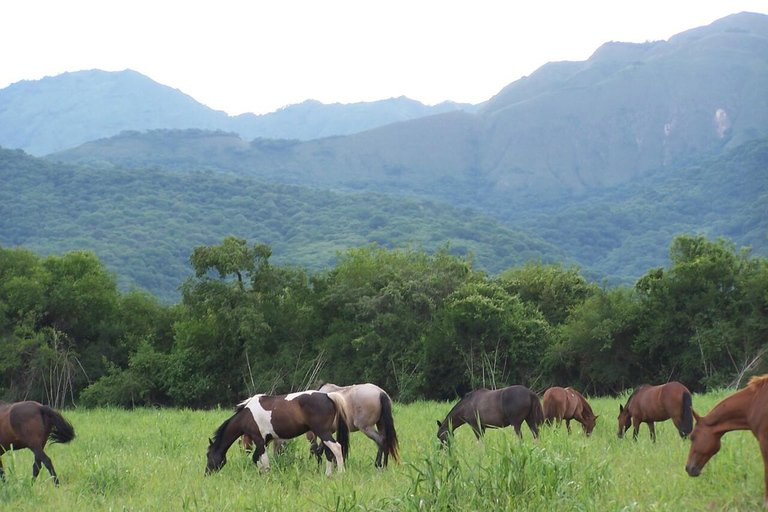 Salta: Full-Day Horseback Ride with Mountain Picnic