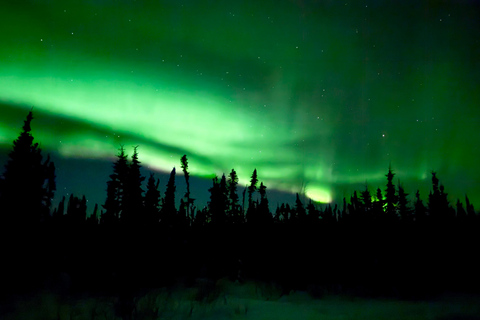 Arctic Circle & Northern Lights - Dalton Highway Winter Tour