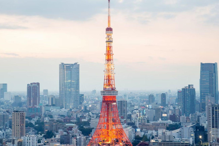 Tokyo Hidden Gems Sumo, Calligraphy & Local Streets Day Tour