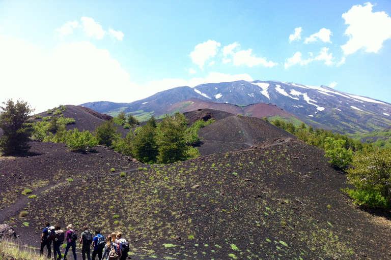 Depuis Syracuse : Tour de l'Etna avec déjeuner léger et dégustation de vin