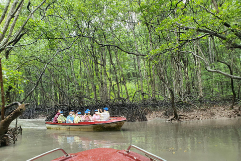 Ho Chi Minh: Explore the mangrove Can Gio forest full day