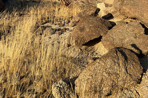 Desde Yeda: Caminata guiada por el Valle de la Luna con meditaciónDesde Yeda: Excursión guiada por el Valle de la Luna con meditación