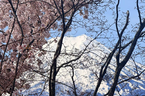 Tokyo: Private Guided Tour Mount Fuji , Hakone & Lakes