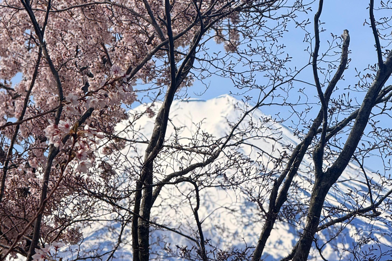 Tokyo: Private Guided Tour Mount Fuji , Hakone & Lakes