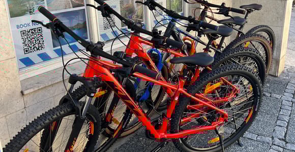 Bled: Mountainbike-Verleih
