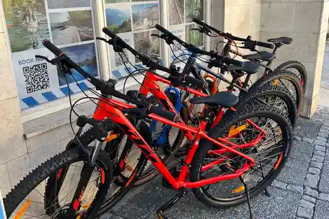 Bled: Alquiler de bicicletas de montaña