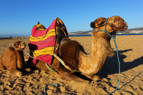 Tour privato di Tangeri + Giro in cammello + opzione extra: Pranzo marocchino