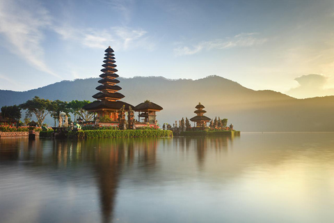 North of Bali: Private Tour with UNESCO World Heritage site Private Tour : Ticket Included