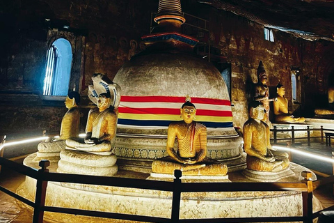 Sigiriya, Dambulla, Village Safari Day Tour including lunch