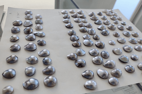 La Paz: Pearl Farm Experience and shop
