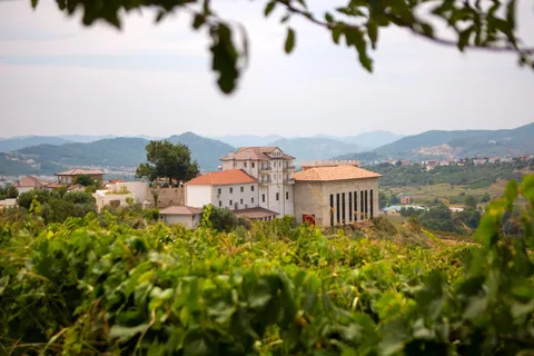Lundër: Lundra Winery Guided Tour mit Weinverkostung