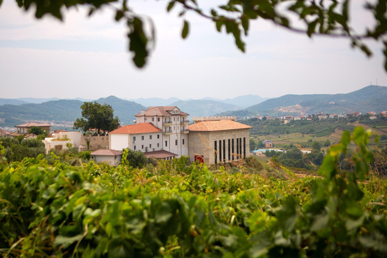 Lundër: Tour guidato della cantina Lundra con degustazione di vino