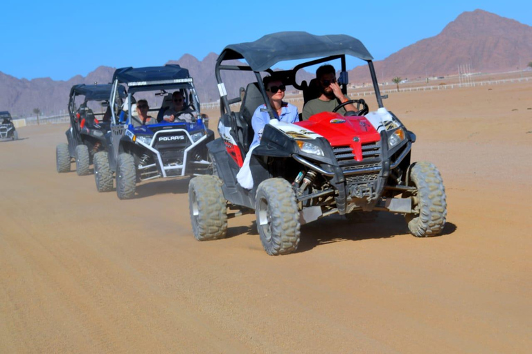Sharm El-Sheikh: Super Safari, ATV, Stargazing & BBQ Dinner 2 Person Option ( DBL BUGGY )