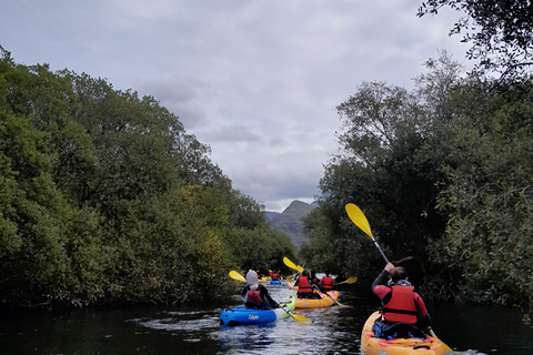 Llanberis: Kayak Tour